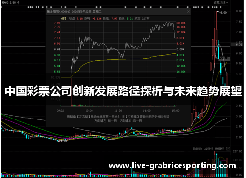 中国彩票公司创新发展路径探析与未来趋势展望