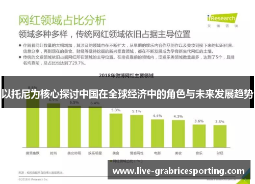 以托尼为核心探讨中国在全球经济中的角色与未来发展趋势